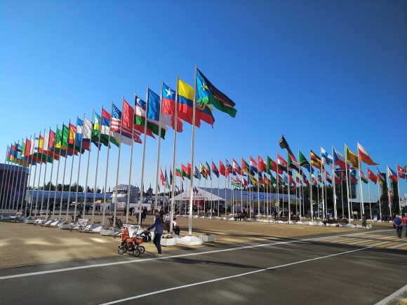 Флаги стран-участников форума