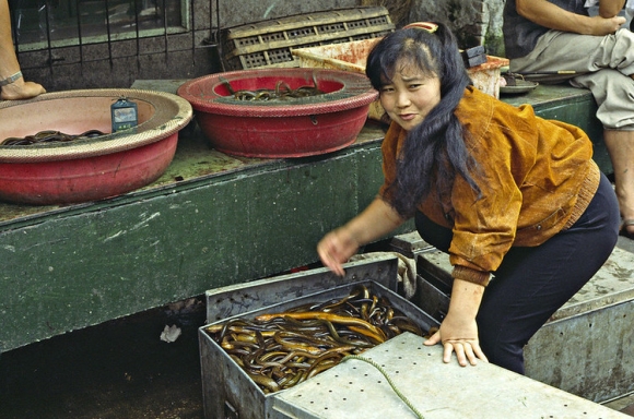 Как покрывая лабораторию в Китае, рынок морепродуктов объявили источником COVID-19