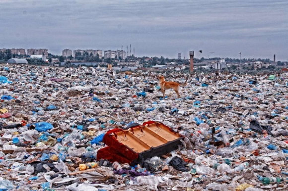 По данным Greenpeace, в России 960 тысяч несанкционированных мусорных свалок. Их число удваивается каждый год