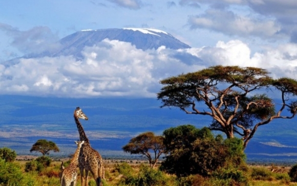 Открыты для полетов Танзания и Занзибар: что интересного увидят туристы​