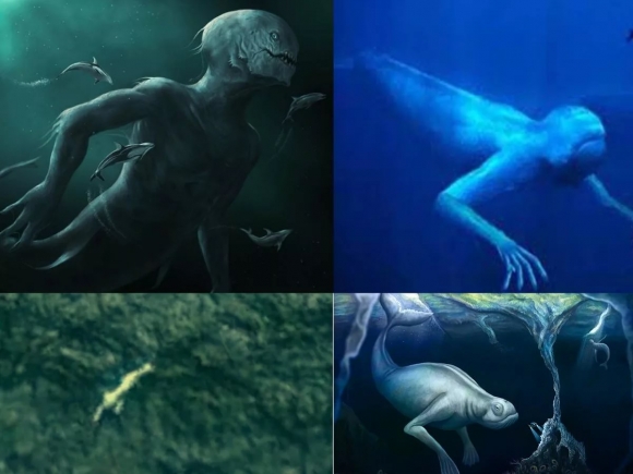 Легенды о нингенах - о загадочных морских существах, якобы живущих в ​ Антарктике​