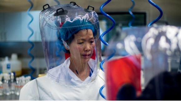Как покрывая лабораторию в Китае, рынок морепродуктов объявили источником COVID-19