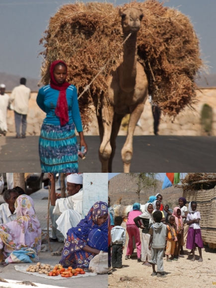 «Фараон» Эритреи: жестокое средневековье в современной Африке​