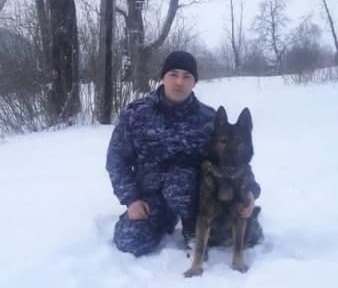 В Челябинской области полицейский спас умирающего на дороге пса