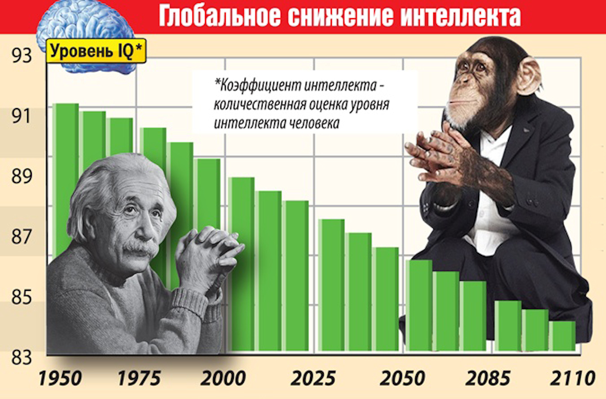 Определить iq по фото