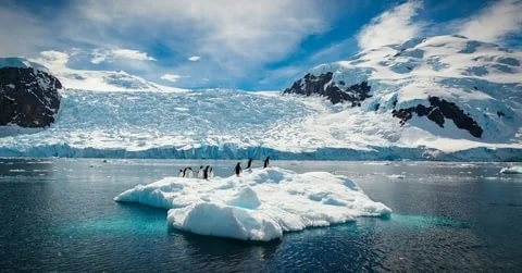 Какие изменения присходят в морских экосистемах Антарктики