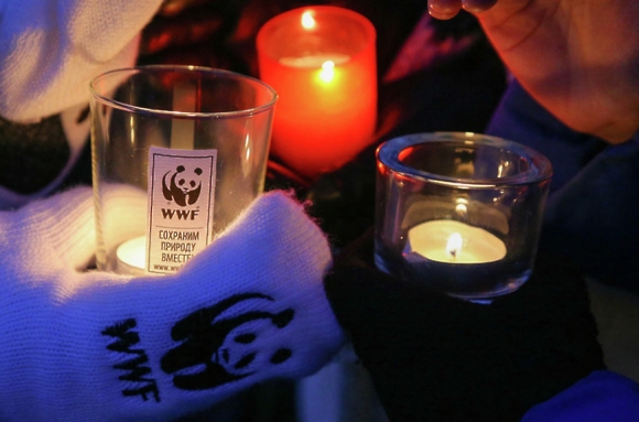 WWF: «России нужна открытость экологической информации»
