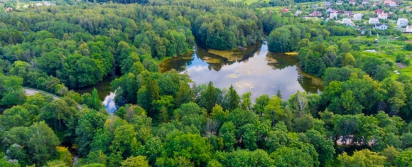 Еще одной экосистеме Ленинградской области угрожает деградация? 