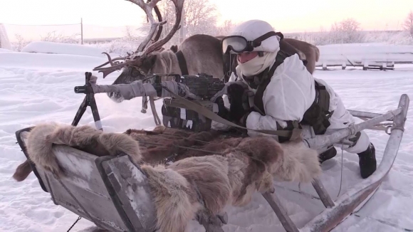 Российские морпехи осваивают езду на собаках и оленях 