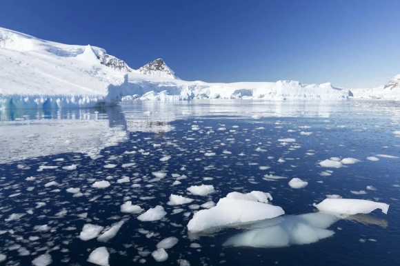 Какие изменения присходят в морских экосистемах Антарктики