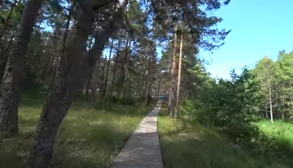 Россия и Эстония решили очистить Чудское озеро от загрязняющих веществ