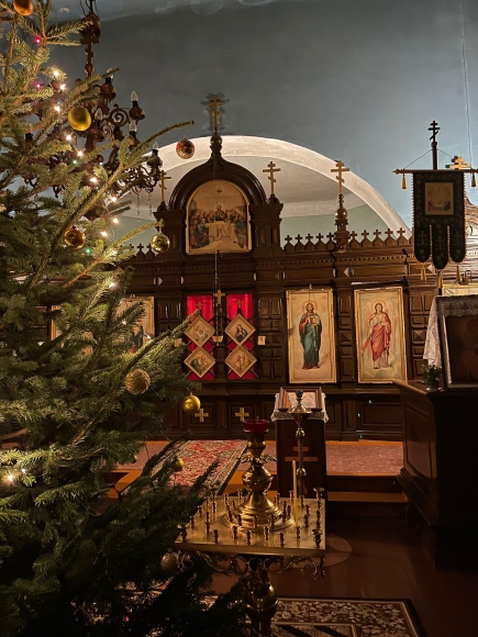  В каком статусе ЛПЦ встретит Рождество Христово?