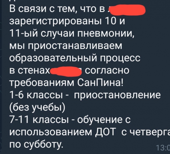 В одной из школ Петербурга приостановили учебу младших классов из-за пневмонии 