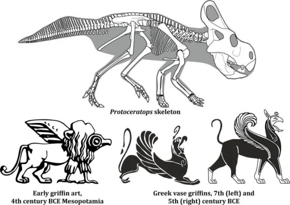 Развенчана теория 30-летней давности, связывающая грифонов с динозаврами