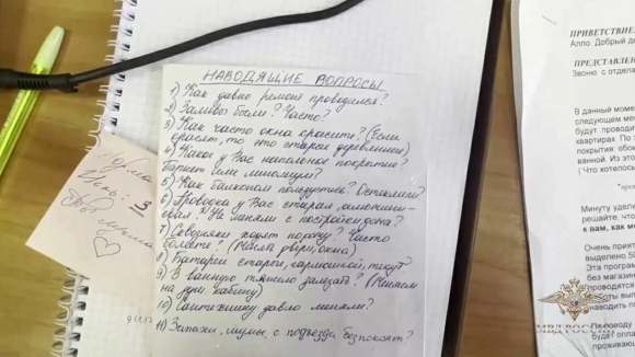 Ирина Волк: В Москве перед судом предстанут 10 обвиняемых в мошенничестве в отношении пенсионеров