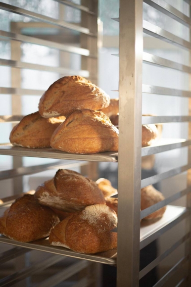 Секретный ингредиент успеха: как закваска на фруктовой воде меняет представление о хлебе. Рассказывает Никита Михеев Секретный ингредиент успеха: как закваска на фруктовой воде меняет представление о хлебе. Рассказывает Никита Михеев