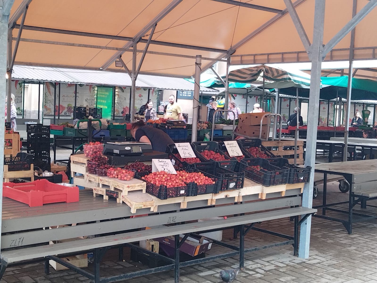 Как можно «отовариться» журналисту на центральном рынке Риги