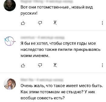 Потомков Чкалова осудили в соцсетях