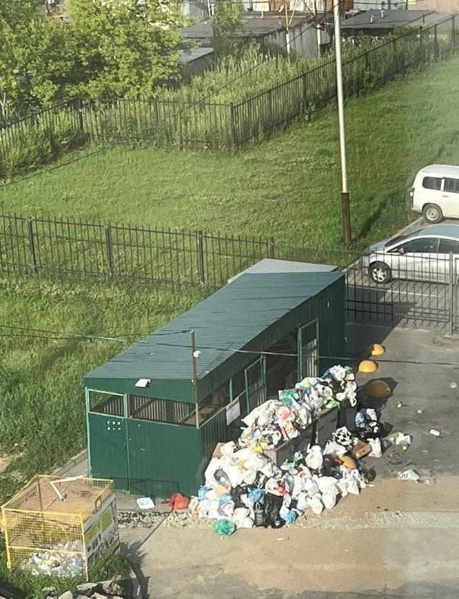 Качество вывоза мусора в Хабаровске хромает. Это ощущают почти в каждом дворе