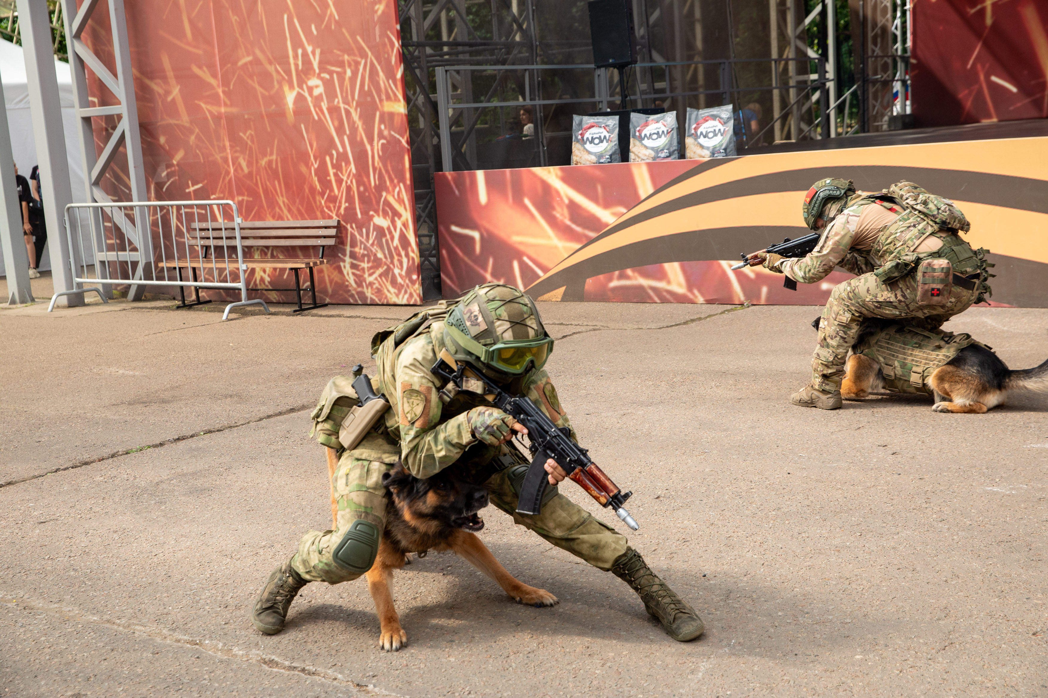Около 2,5 тысяч человек присоединились к празднованию Дня фронтовой собаки в Музее Победы    